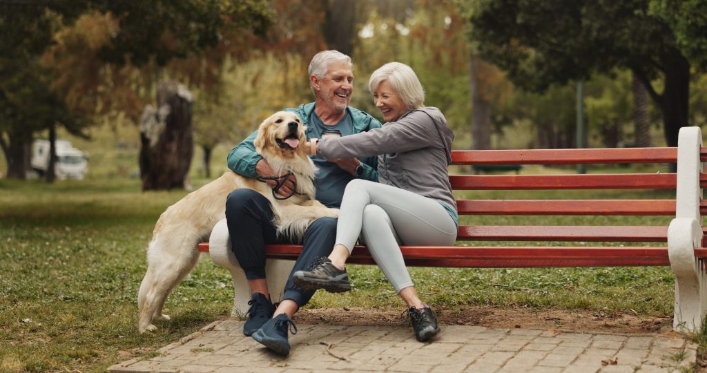 Retiring to Ireland with Independent Financial Means: Stamp 0 Explained