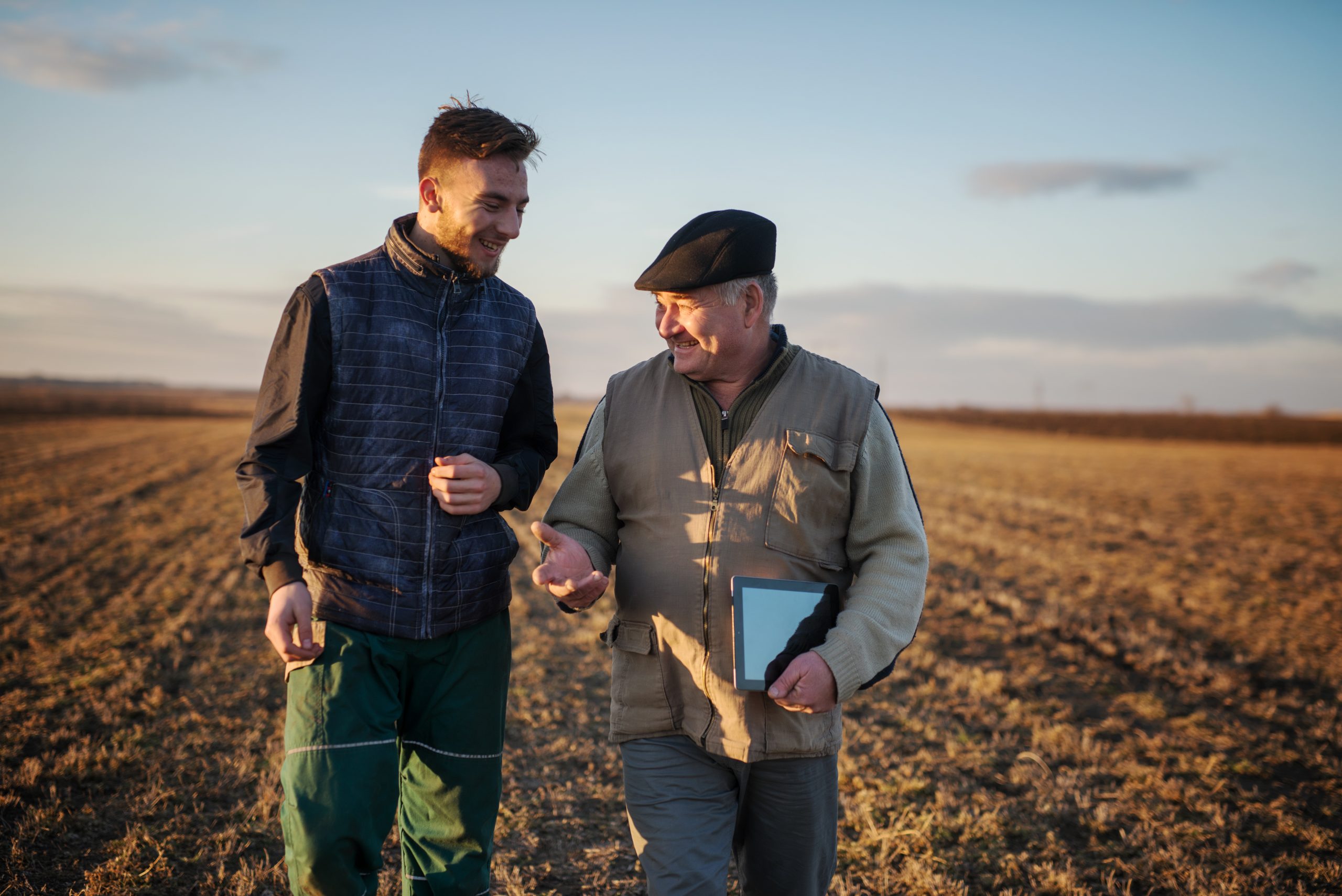 Irish Farmers Shunning Retirement Due to Poor Pension  Coverage