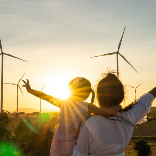 Energy & renewable Accountants