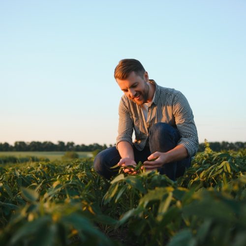 Agriculture Accountants Agriculture Accountants
